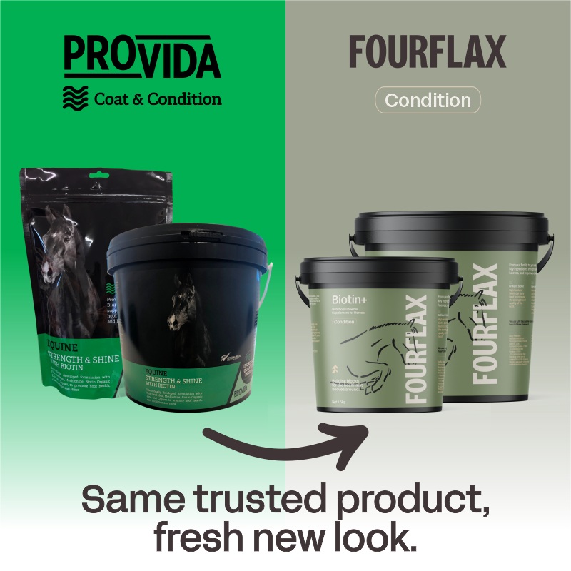 ProVida (Fourflax) Equine Biotin