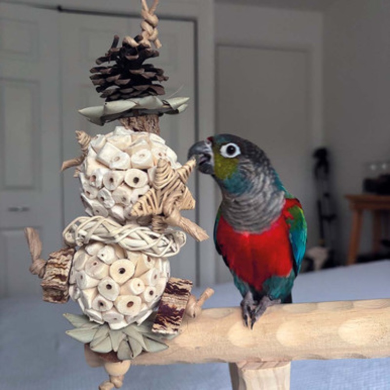 Sola Ball Star Stacker Tree Natural Parrot Toy