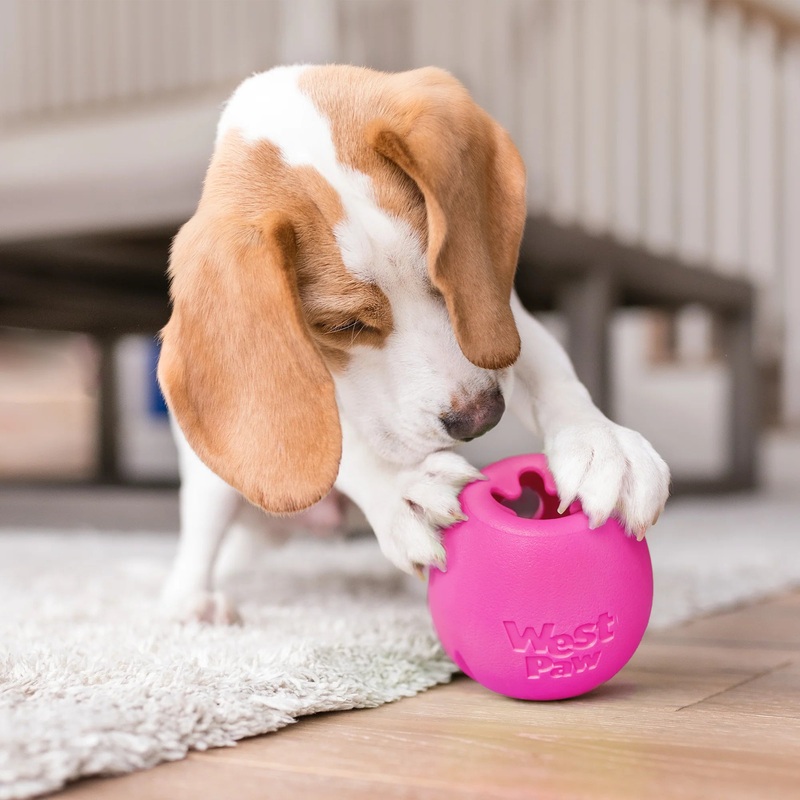 West Paw Rumbl Dog Toy|Small|Large|Pink|Blue