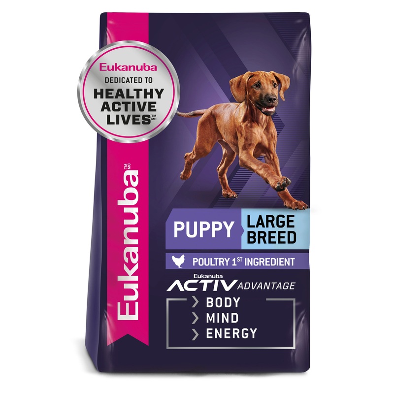 Eukanuba Puppy Large Breed Dry Dog Food