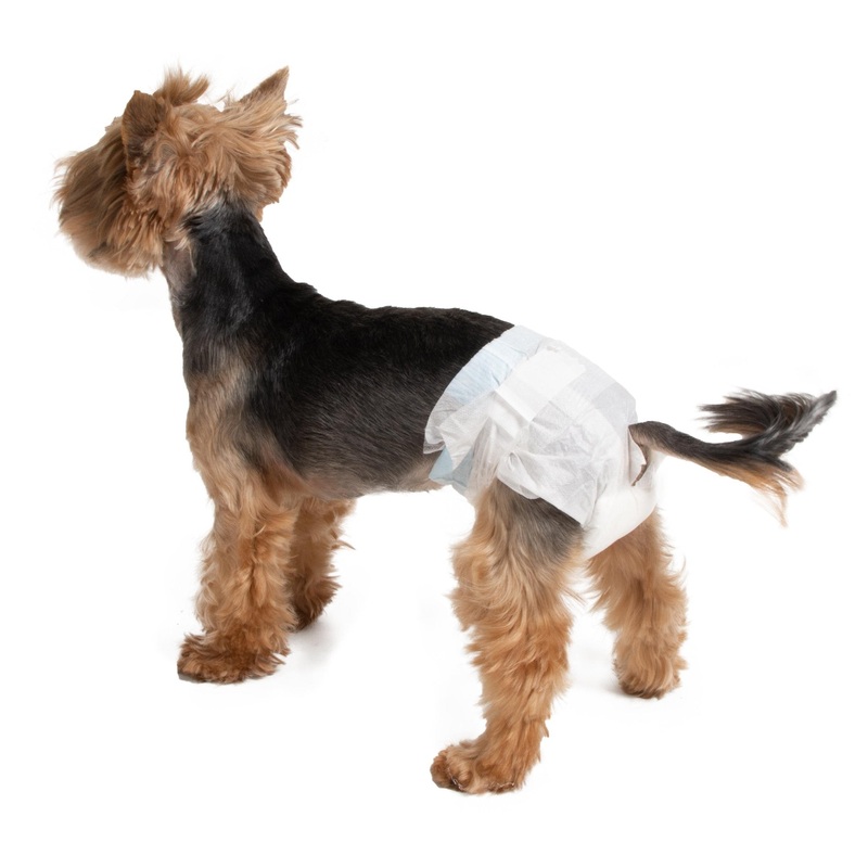 Farm Company Female Disposable Diapers Mini – 20 to 28cm 12pcs/bag –