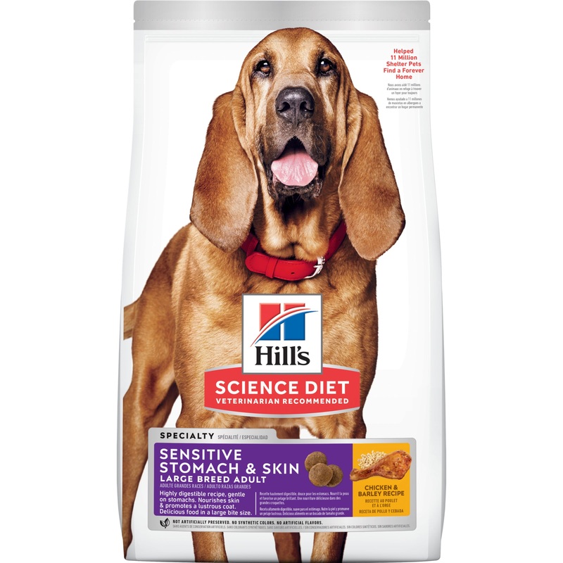 Hill’s Science Diet Sensitive Stomach & Skin Adult Large Breed Dry Dog Food