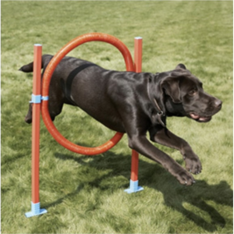 AGILITY HOOP JUMP