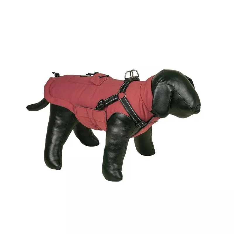 Striuk unims Rica 2in1, 23 cm, raudona