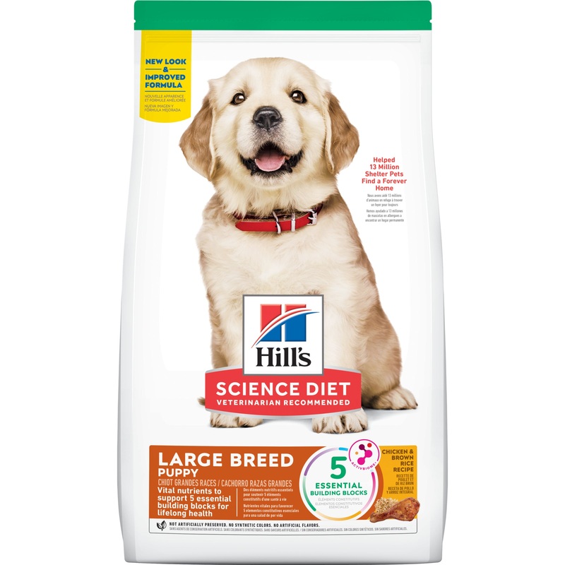 Hill’s Science Diet Puppy Large Breed Dry Dog Food