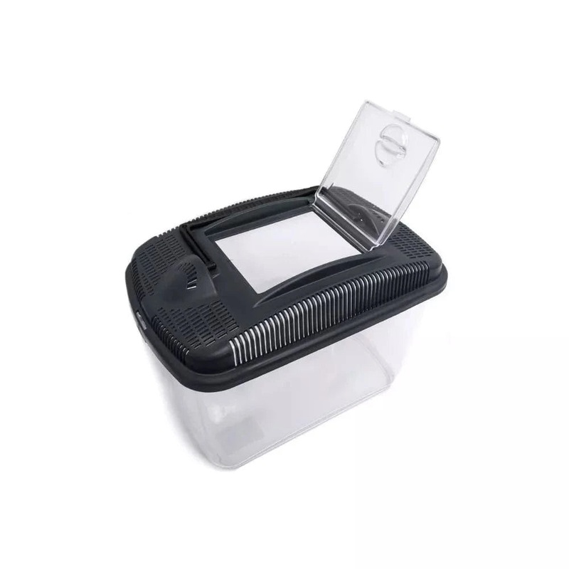 Terariumas Amber Midi, 23,7×15,4×17,3 cm