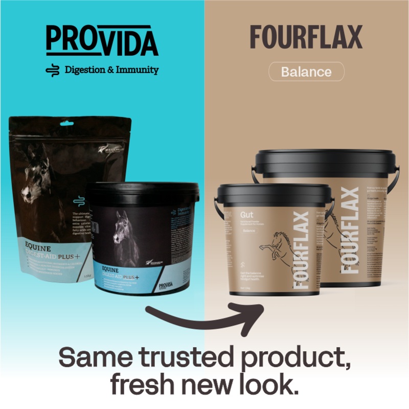 ProVida (Fourflax) Equine Gut Pro