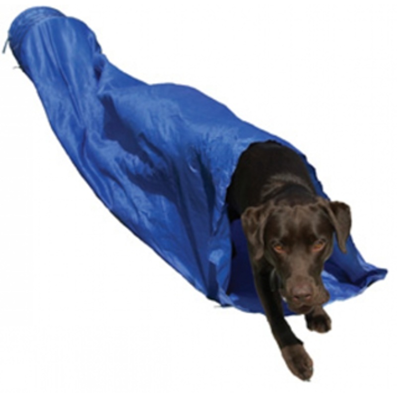 AGILITY TUNNEL