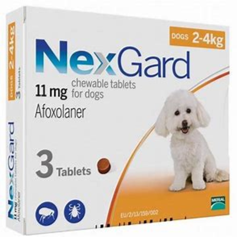 Nexgard Chewables for Dogs Extra Small 2 – 4kg