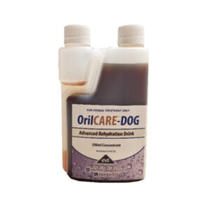 Orilcare Dog