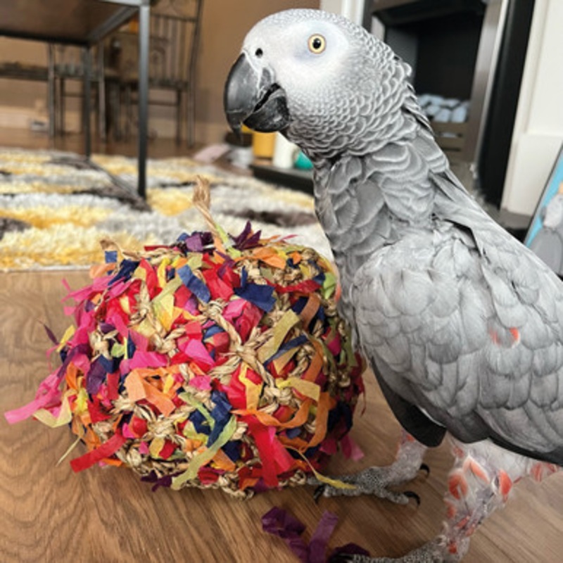 Shreddable Foraging Ball Parrot Toy – Large