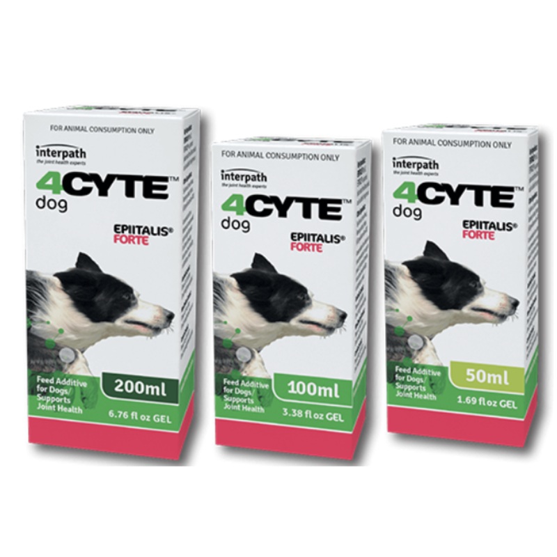 4CYTE Epiitalis Forte Gel for Dogs