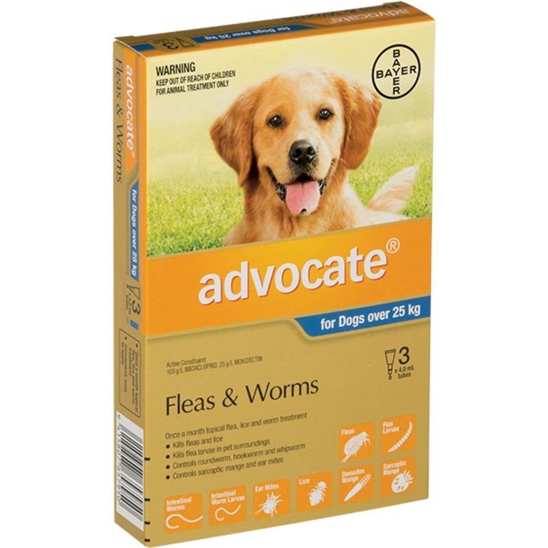 Advocate Dog XL Blue >25kg –  Flea and Worm Treatment
