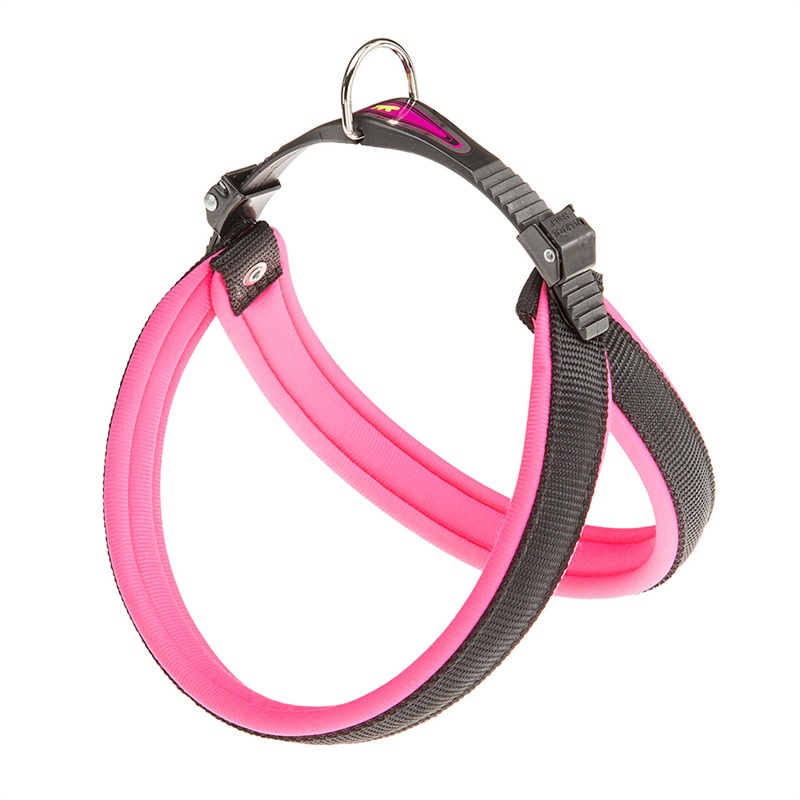 AGILA FLUO 4