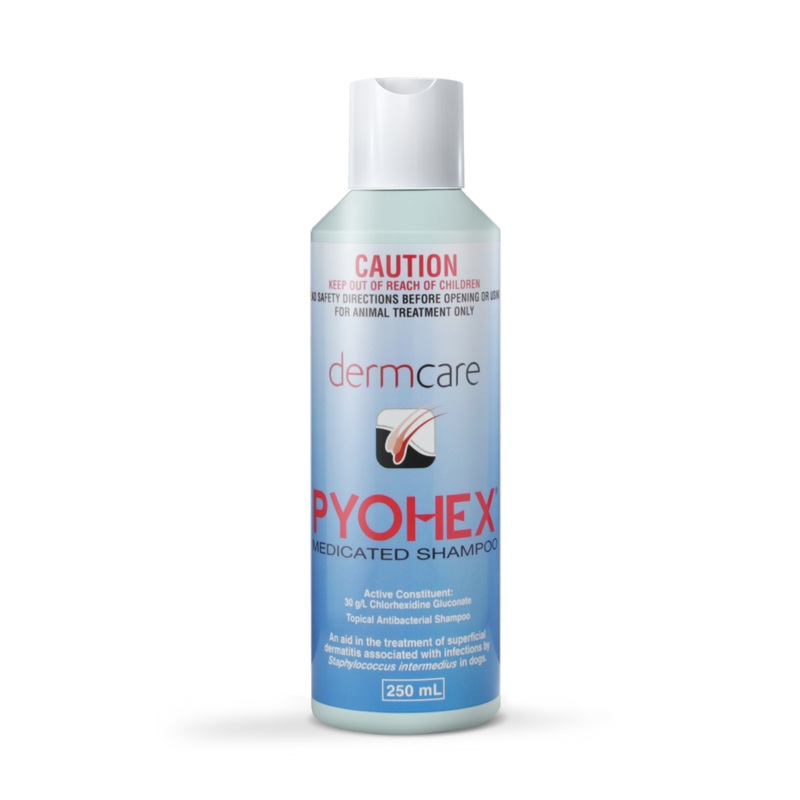 Dermcare Pyohex Medicated Shampoo 250ml