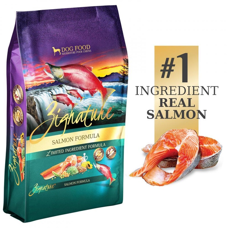 Zignature Limited Ingredient Salmon Formula Dry Dog Food