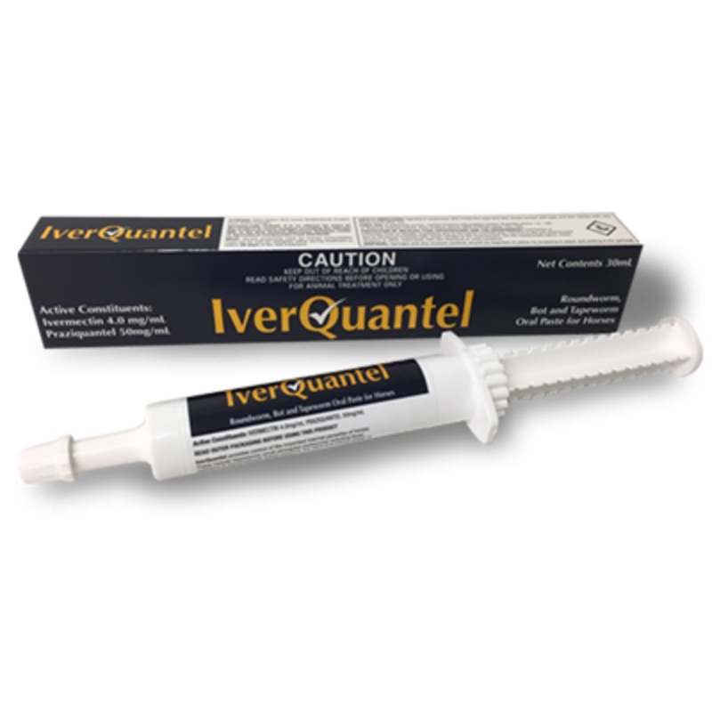 Dechra IverQuantel Paste 30mL