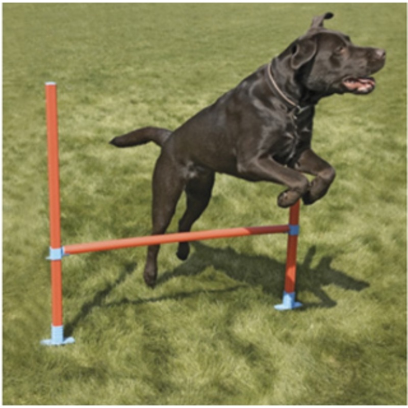 AGILITY HURDLE W/BAG