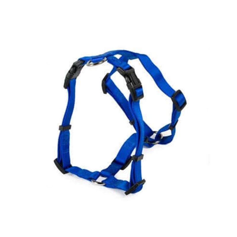 Farm Company Nylon harness – Blue 20mmx50-71cm –