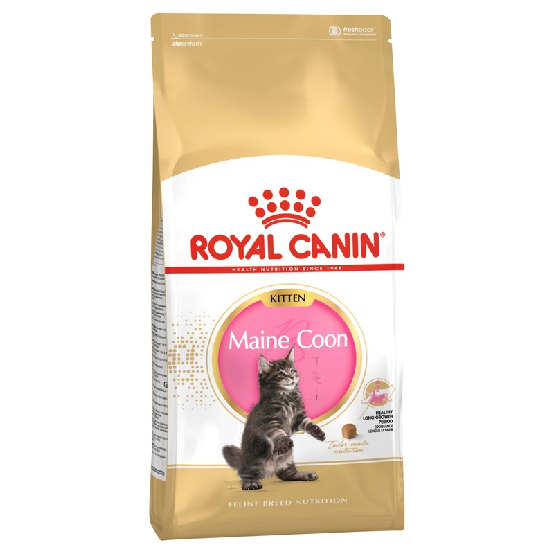 Royal Canin Maine Coon Breed Kitten Dry Cat Food