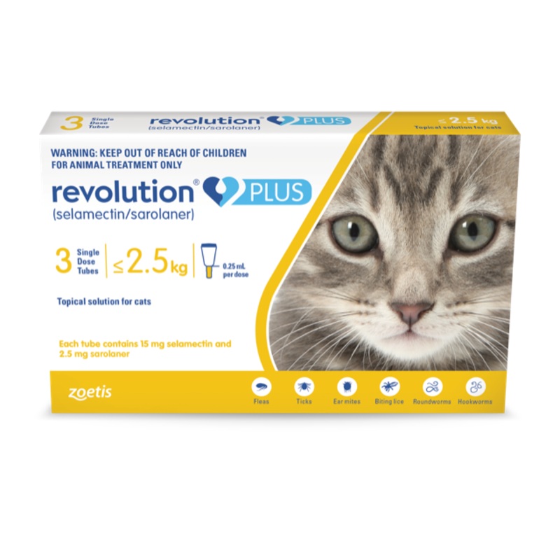 Revolution Plus Cat Kitten 1.25 – 2.5kg – Parasite Prevention