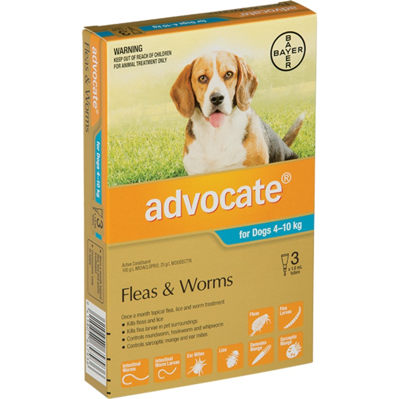 Advocate Dog Medium Aqua 4-10kg – Flea & Worm Treatment