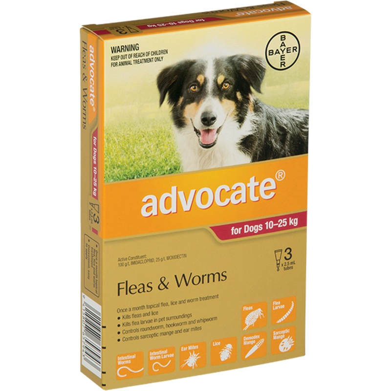 Advocate Dog Large Red 10-25kg – Flea and Worm Treatment