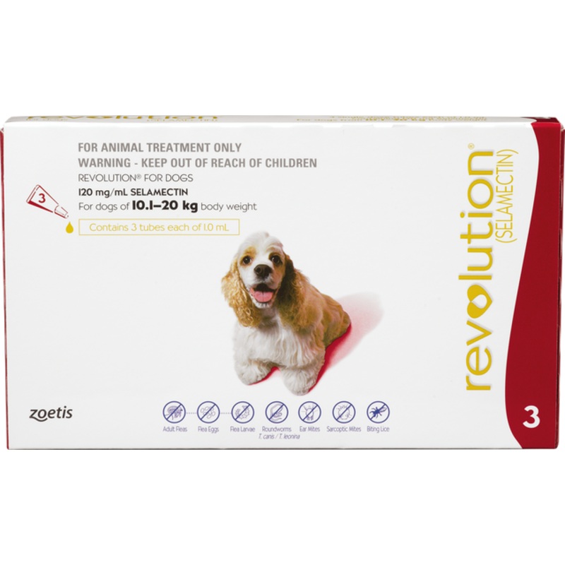 Revolution Flea & Worming Treatment for Medium Dogs 10 – 20kg