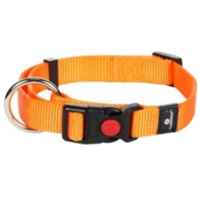 ZIGGI DOG COLLAR 45-65cm / 25mm