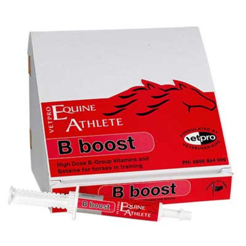 VetPro B Boost Paste Vitamins for Horses 30ml