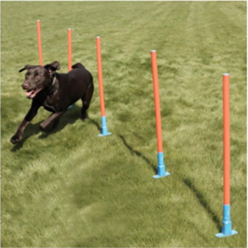 AGILITY SLALOM W/BAG