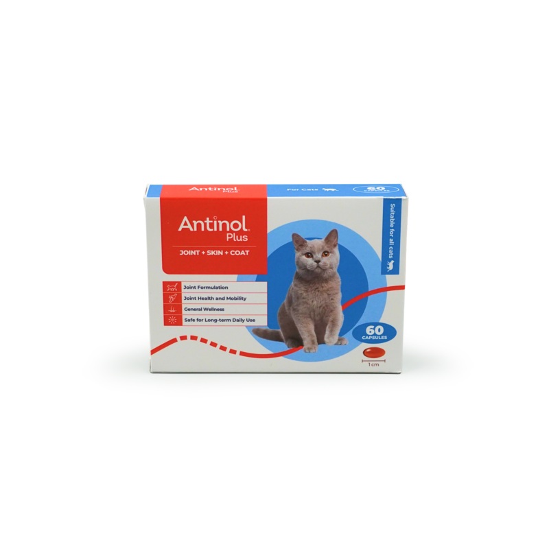 Antinol Plus for Cats 60 Capsules