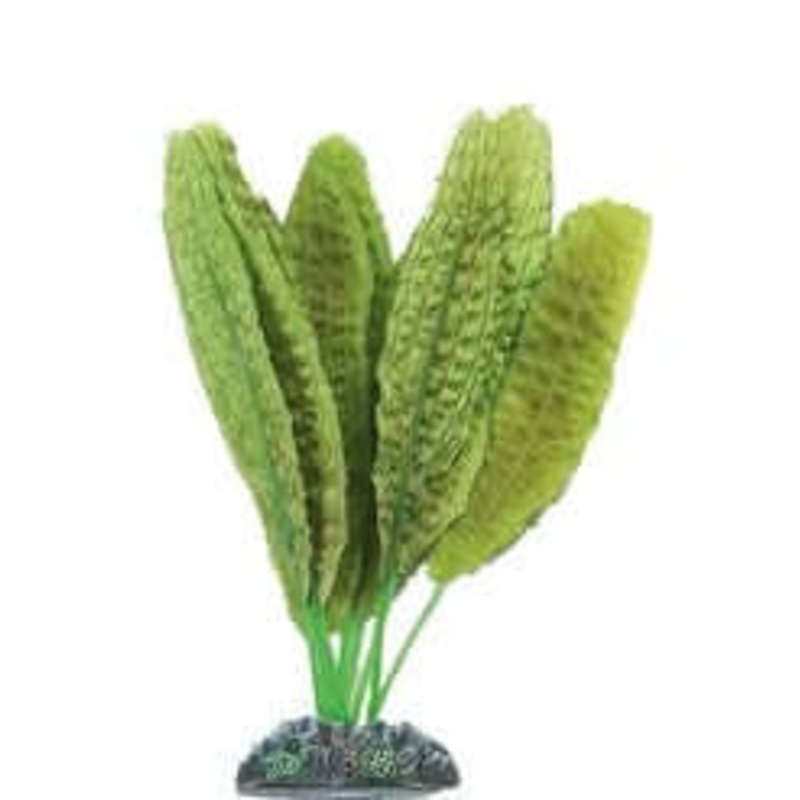 Aq. Plant Silk Congo Ass. – M –