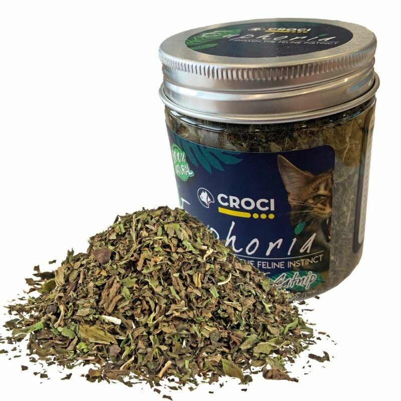 Croci Euphoria Catnip Jar – 25gr –       – 25  –