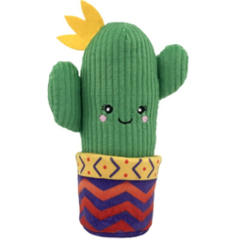 WRANGLER CACTUS