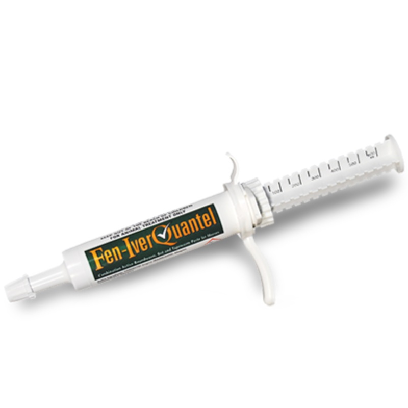 Dechra Fen IverQuantel 30ml Flavoured Paste