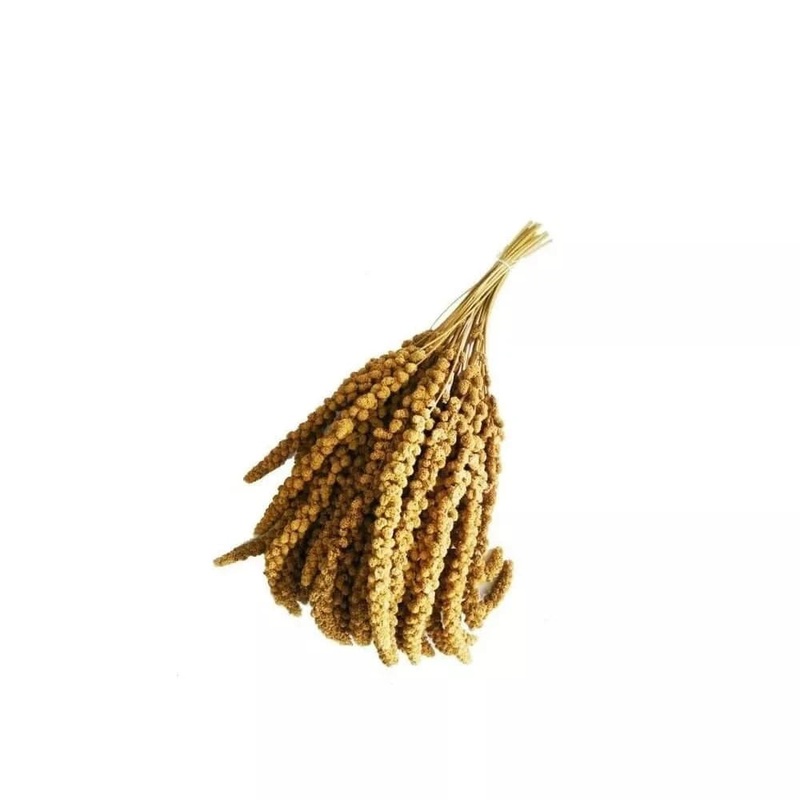 Sor keks paukiams Panico in Spiga 1 kg