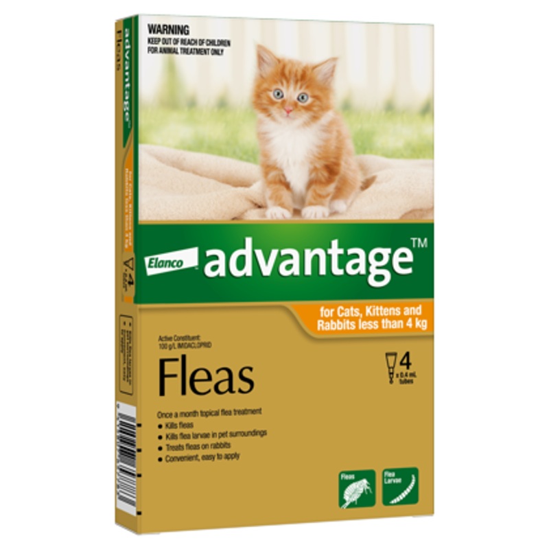 Advantage Cat Small Cat 0-4kg|4 Pack|6 Pack