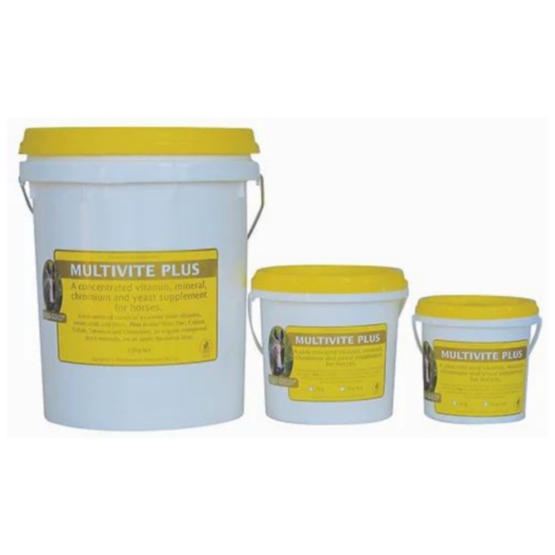Equigold Multivite Plus|1kg|3kg