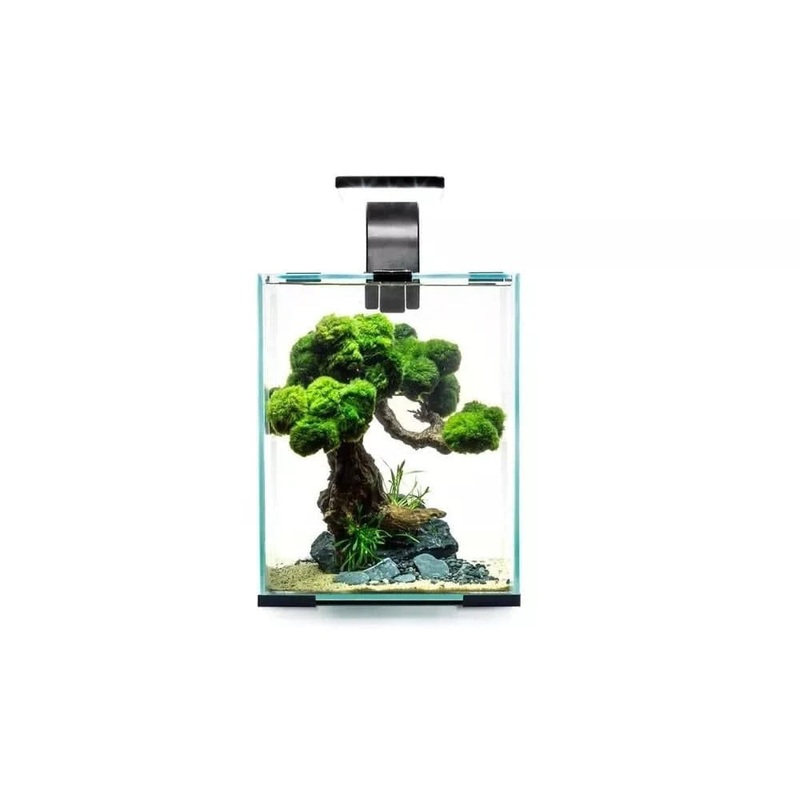 Aquael Shrimp Set Smart Day&Night 20 Black akvariumas su ranga krevetms 20 l