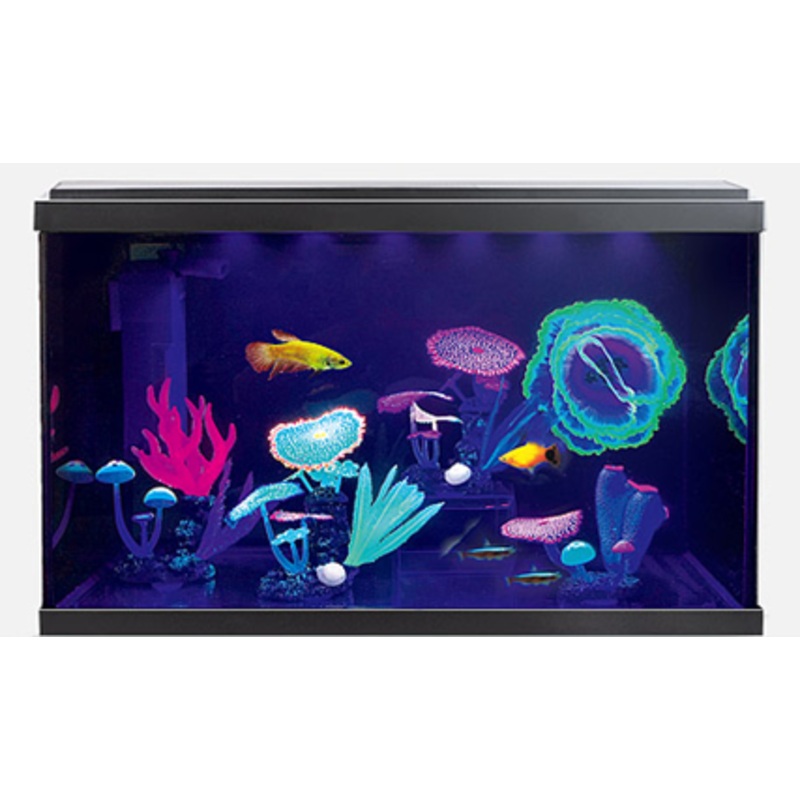 AQUARIUM WONDER PALACE GLOW