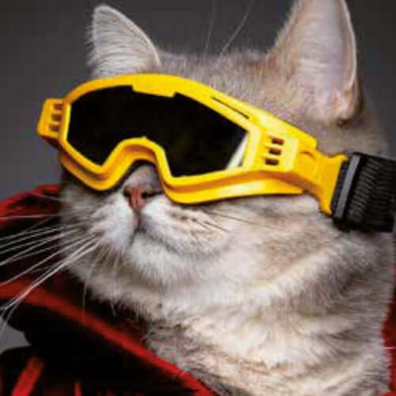 Croci Ski Glasseshorizon Yellow S –    S –