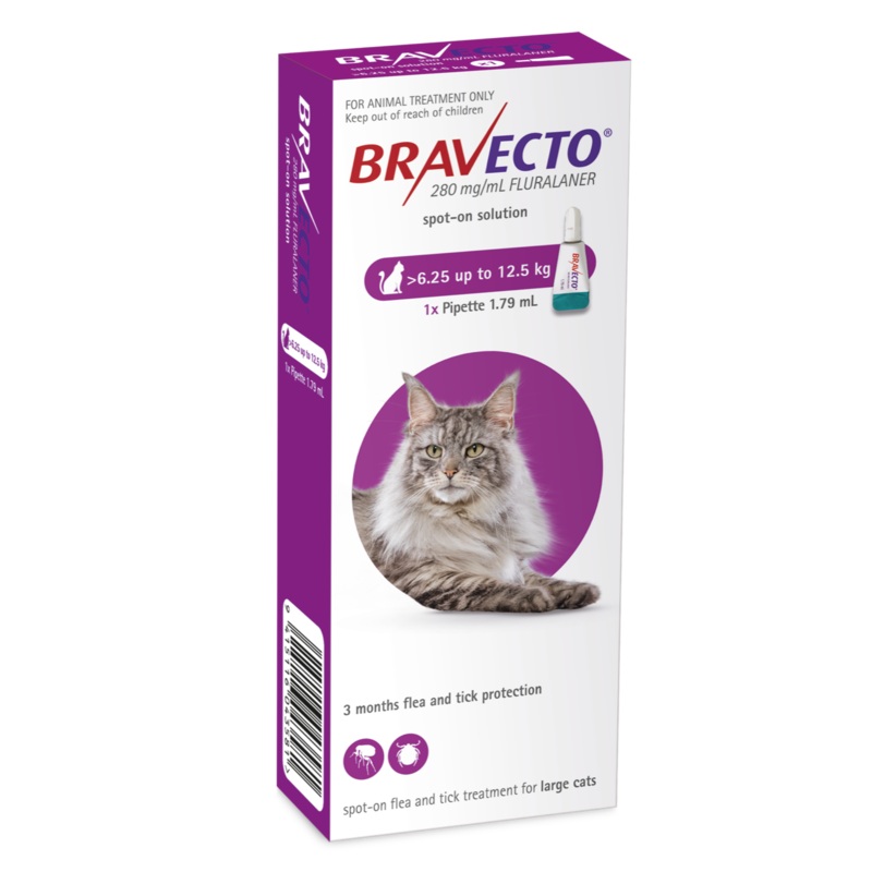 Bravecto Cat Spot-On >6.25 – 12.5kg – Flea & Tick Prevention