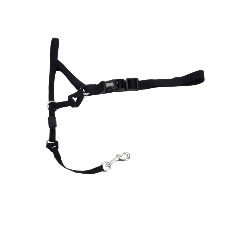 Walk ‘n Train Dog Head Halter Black LG