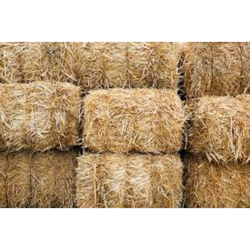 Wheat Straw Bale