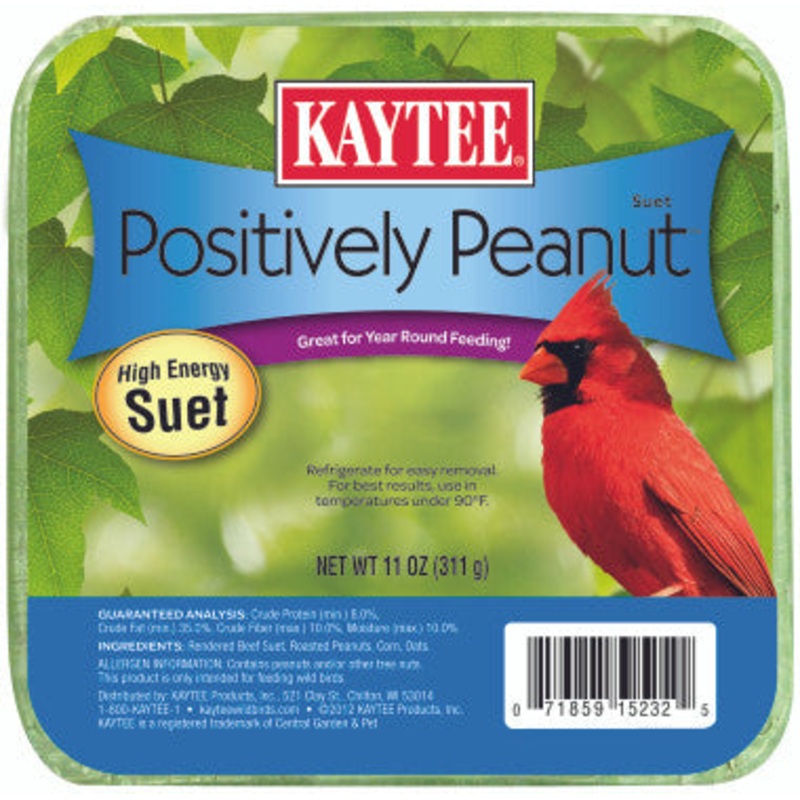 Positively Peanut Suet 11 Ounces