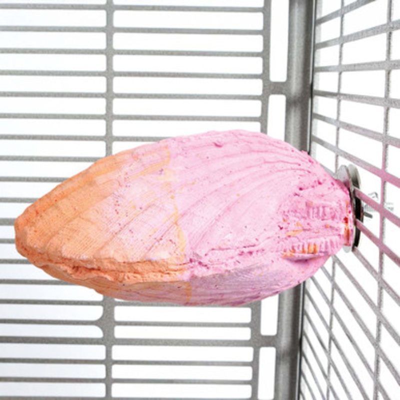 Edible Calcium Clam Parrot Perch – Large