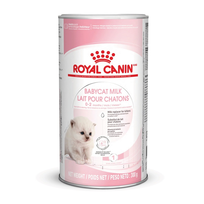 Royal Canin Babycat Milk 300g|300g