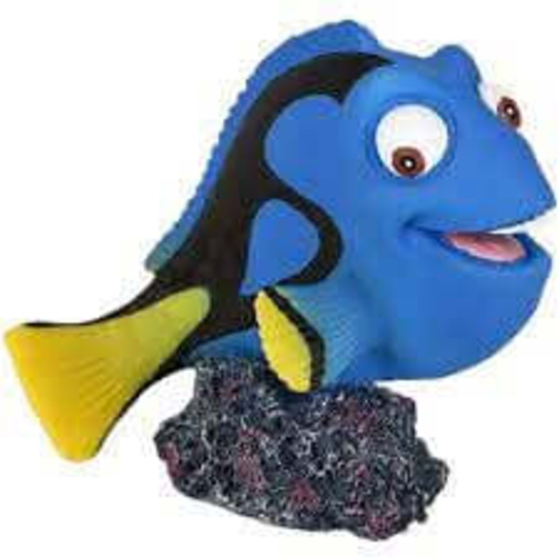 Ad Leto Surgeonfish 9X7X9cm –