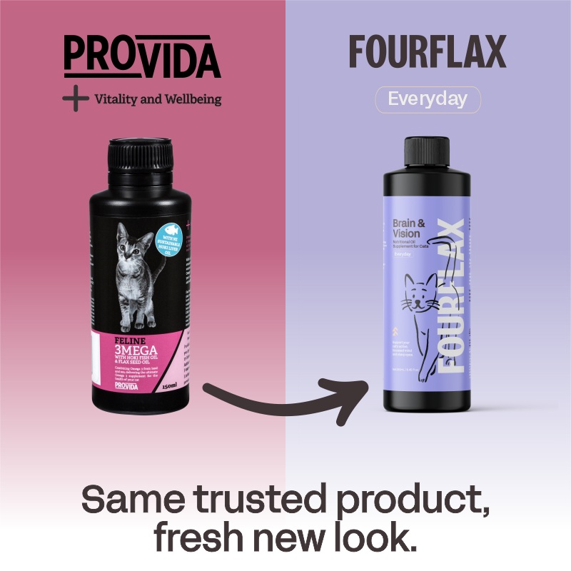 ProVida (Fourflax) Feline Brain and Vision 250ml